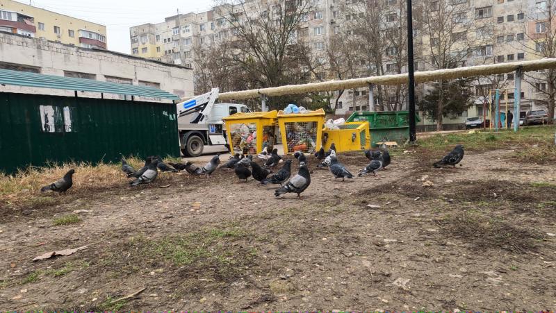 Плату за вывоз ТКО с пустых участков и "с того света" в Крыму перестанут взымать через суды